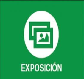 Exposición "Preidolia" de Patricia Escario