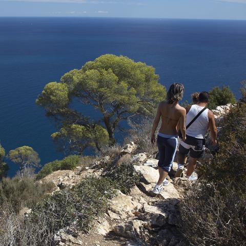 The Governing Board Of The Penyal D’ifach Meets Again And Establishes A Three Month Period For The Works In The Path To Be Finished The Governing Board Of The Penyal D’ifach Meets Again And Establishes A Three Month Period For The Works In The Path To Be Finished