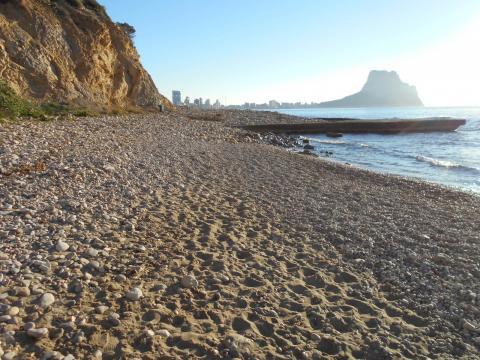 Calp Contará Con Una Playa Para Perros de Manera Definitiva Calp Contará Con Una Playa Para Perros de Manera Definitiva