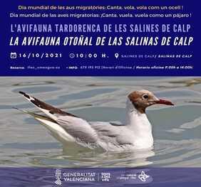 La avifauna otoñal de las Salinas de Calp