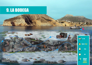 Rutes Submarinisme - La Bodega