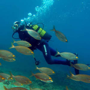 Scuba Diving